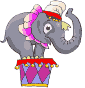 elephant 19