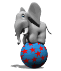 elephant 21