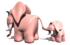 elephant 22