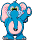 elephant 23