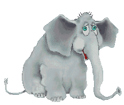 elephant 25