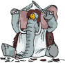 elephant 27