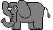 elephant 32