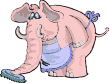 elephant 35