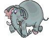 elephant 36