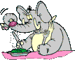 elephant 37