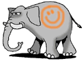 elephant 41