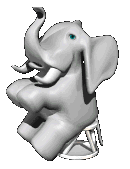 elephant 46