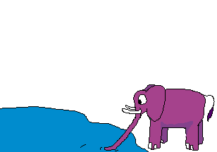 elephant 48