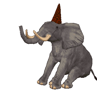 elephant 54