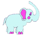elephant 55