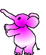 elephant 59