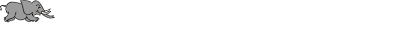 elephant 60