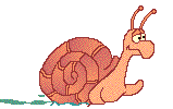 escargot 22