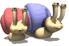 escargot 25
