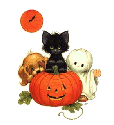 hallow 16