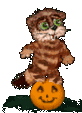hallow 60