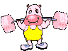 hippo 18