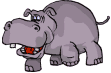 hippo 20