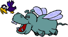 hippo 22