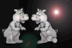 hippo 24