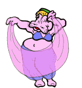 hippo 25