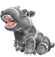 hippo 27