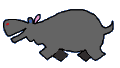hippo 30