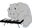 hippo 33