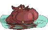 hippo 40