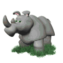 hippo 41