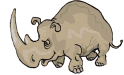 hippo 47