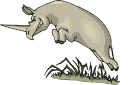 hippo 48