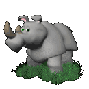 hippo 49