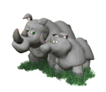 hippo 53