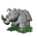 hippo 54