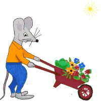 jardin 77