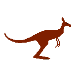 kangourou 01