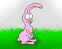 lapin 24