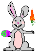 lapin 27