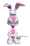 lapin 30