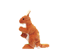 lapin 35