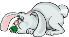 lapin 35