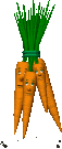 legumes 21