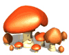 legumes 25