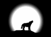 loup 01