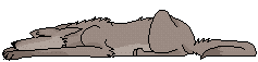 loup 05