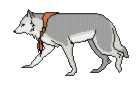 loup 09