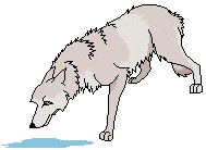 loup 23