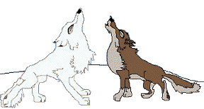 loup 25